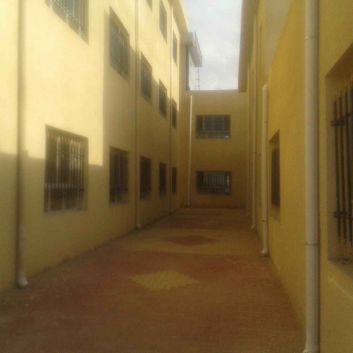 reconstruction of specialized school